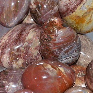 Eggs - by weight Petrified Wood Egg