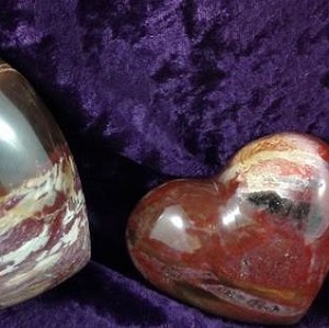 Hearts - by weight Petrified Wood Heart