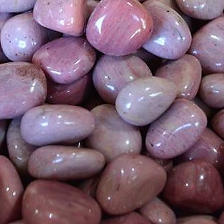 Tumble Stones Petrified Wood Pink Tumble Stone