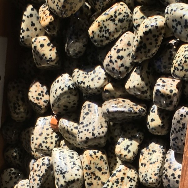 Tumble Stones Dalmatian Jasper