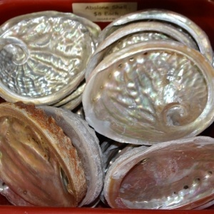 Homeware Abalone Shell
